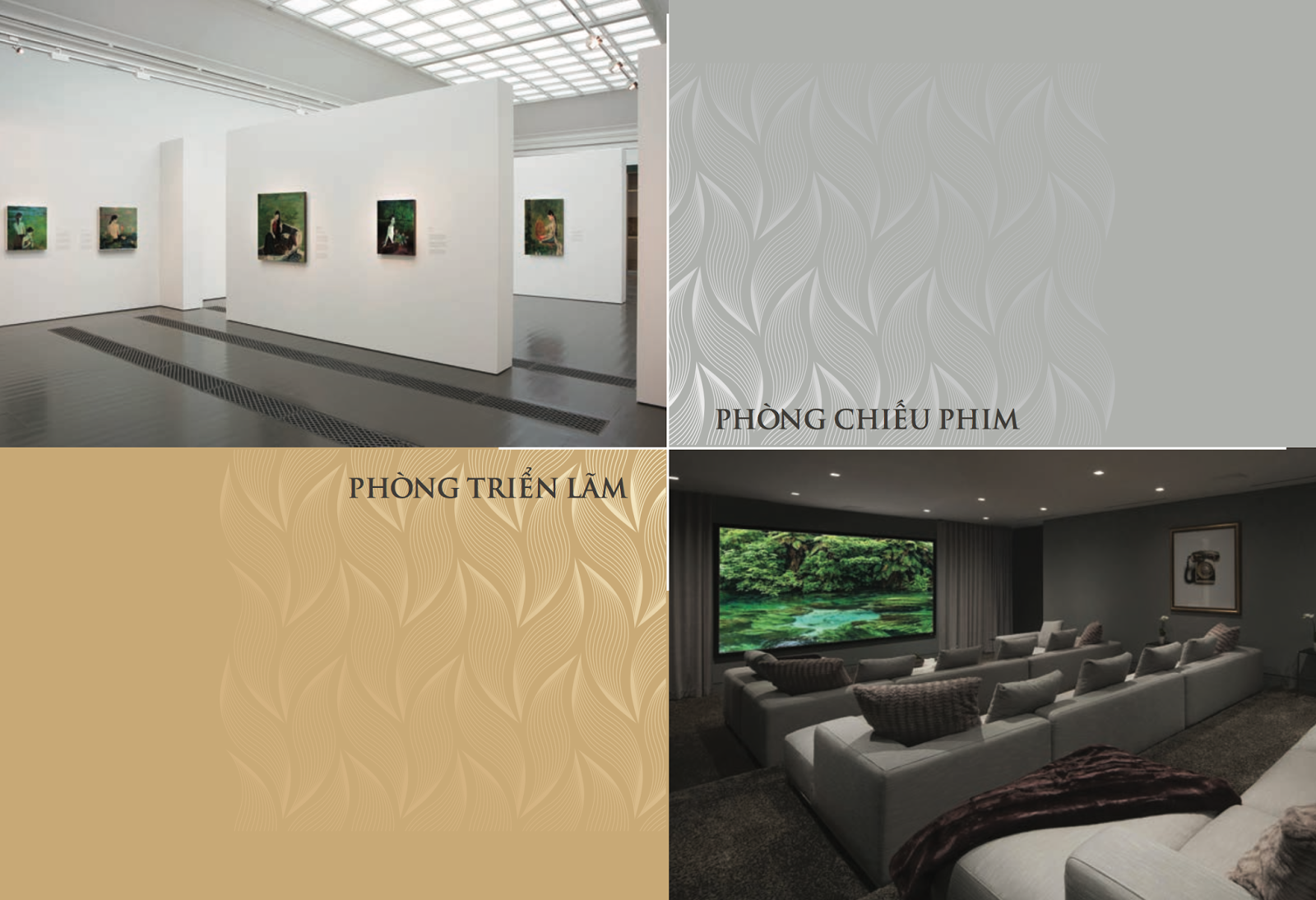 Phòng tập Gym Phòng tập Gym