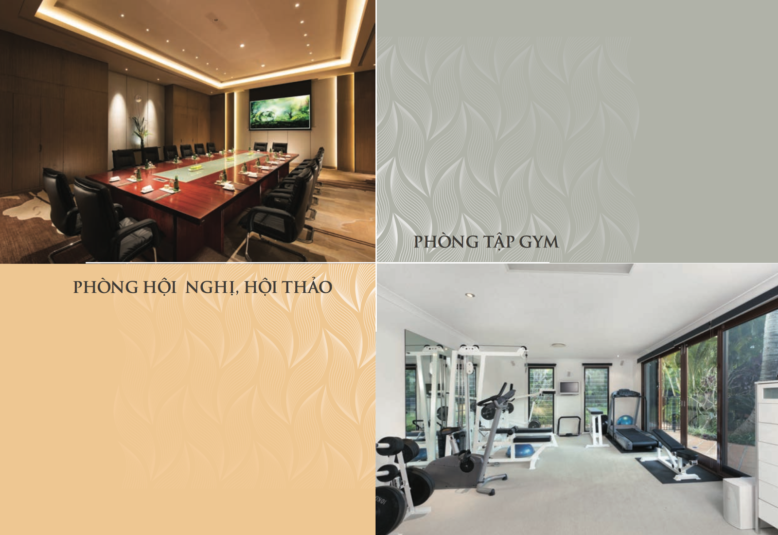 Phòng hội nghị Phòng hội nghị